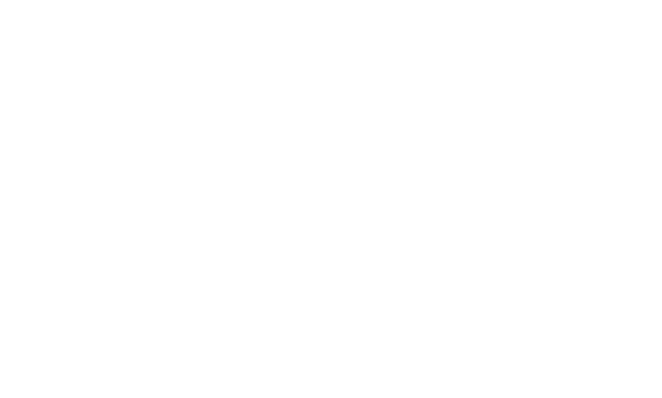 Nauti Shine logo